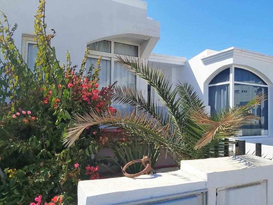 Brisa Marina House By The Sea Βίλα Κοραλέχο Εξωτερικό φωτογραφία